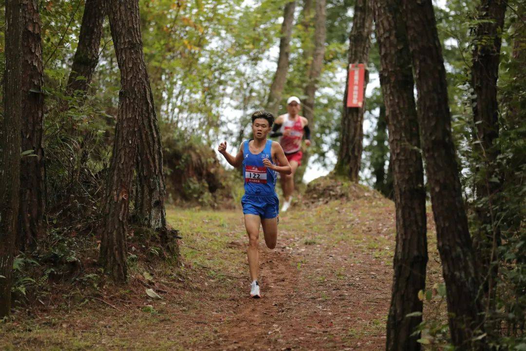特色森林越野跑，拥抱自然的运动新体验