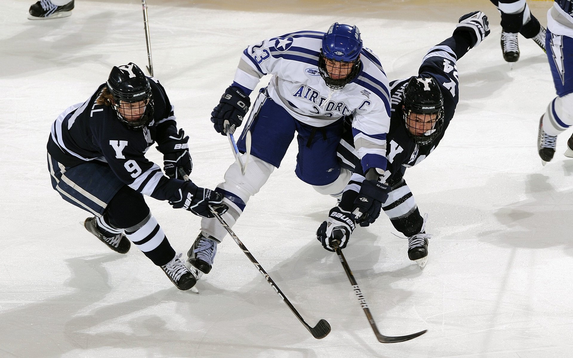 法甲新星崭露:未来领袖光芒四射!,法甲新logo